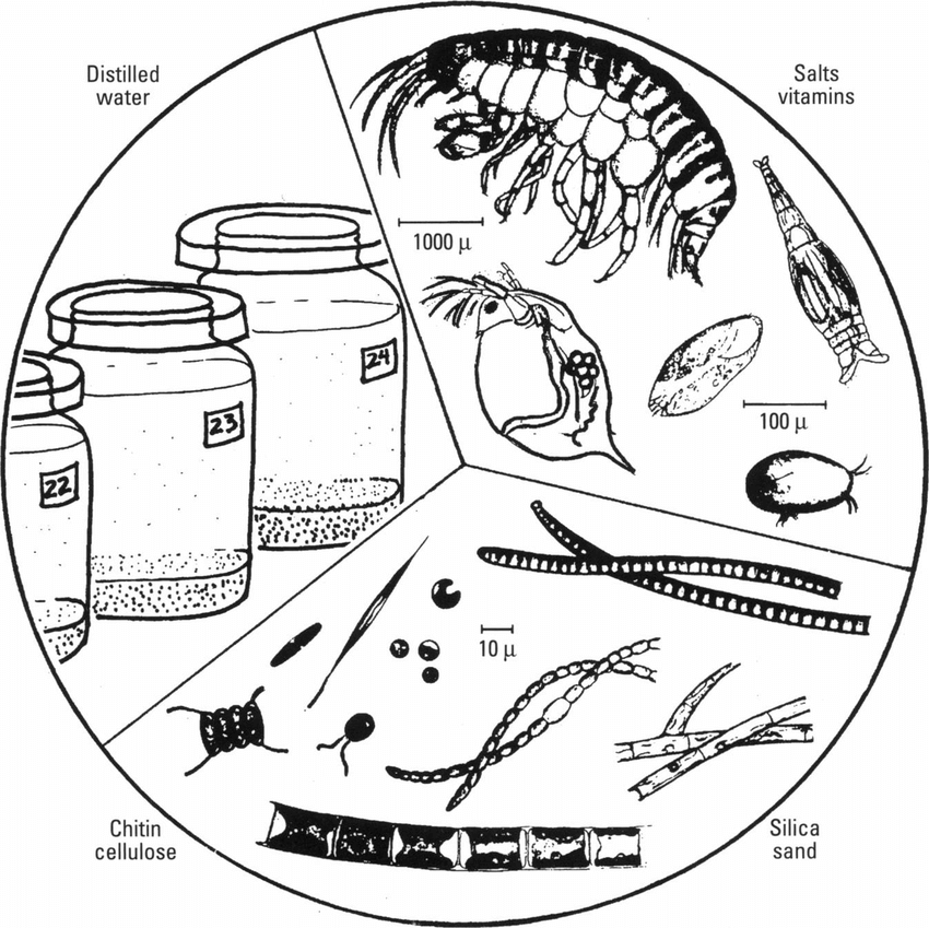 aquatic microcosm