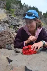 researcher releasing a bird
