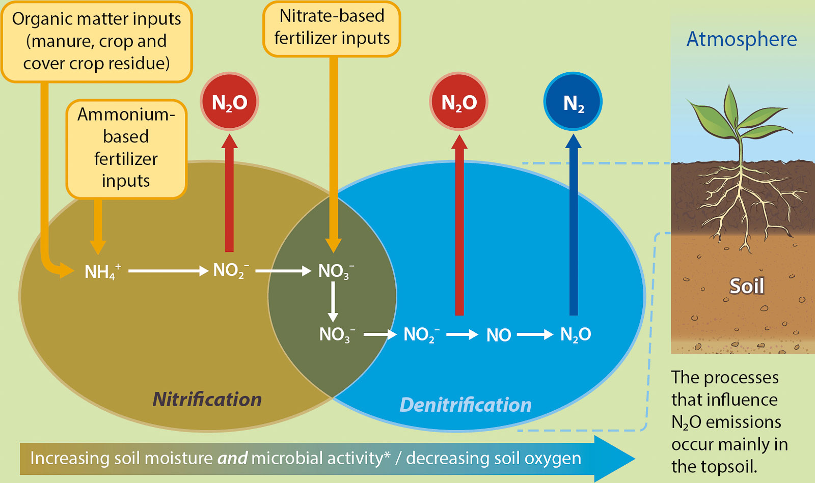 nitrous oxide